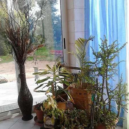 La Piccinneddha Casa de Férias